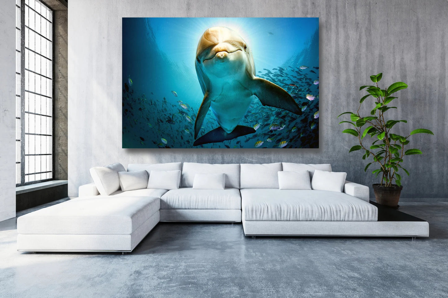 Delphin im Wasser