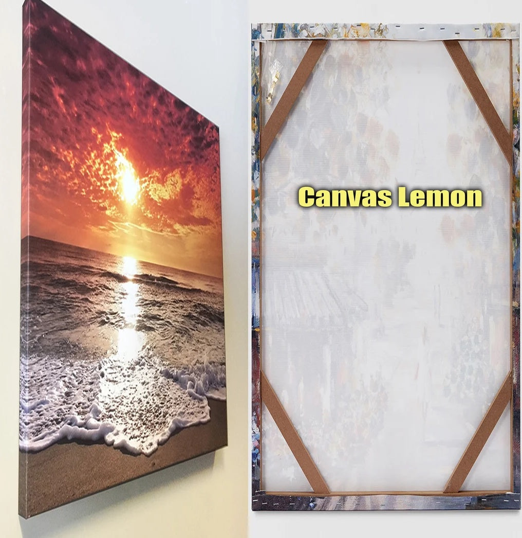 Butterfly over coast canvas art