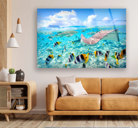 Schwimmende Meerestiere