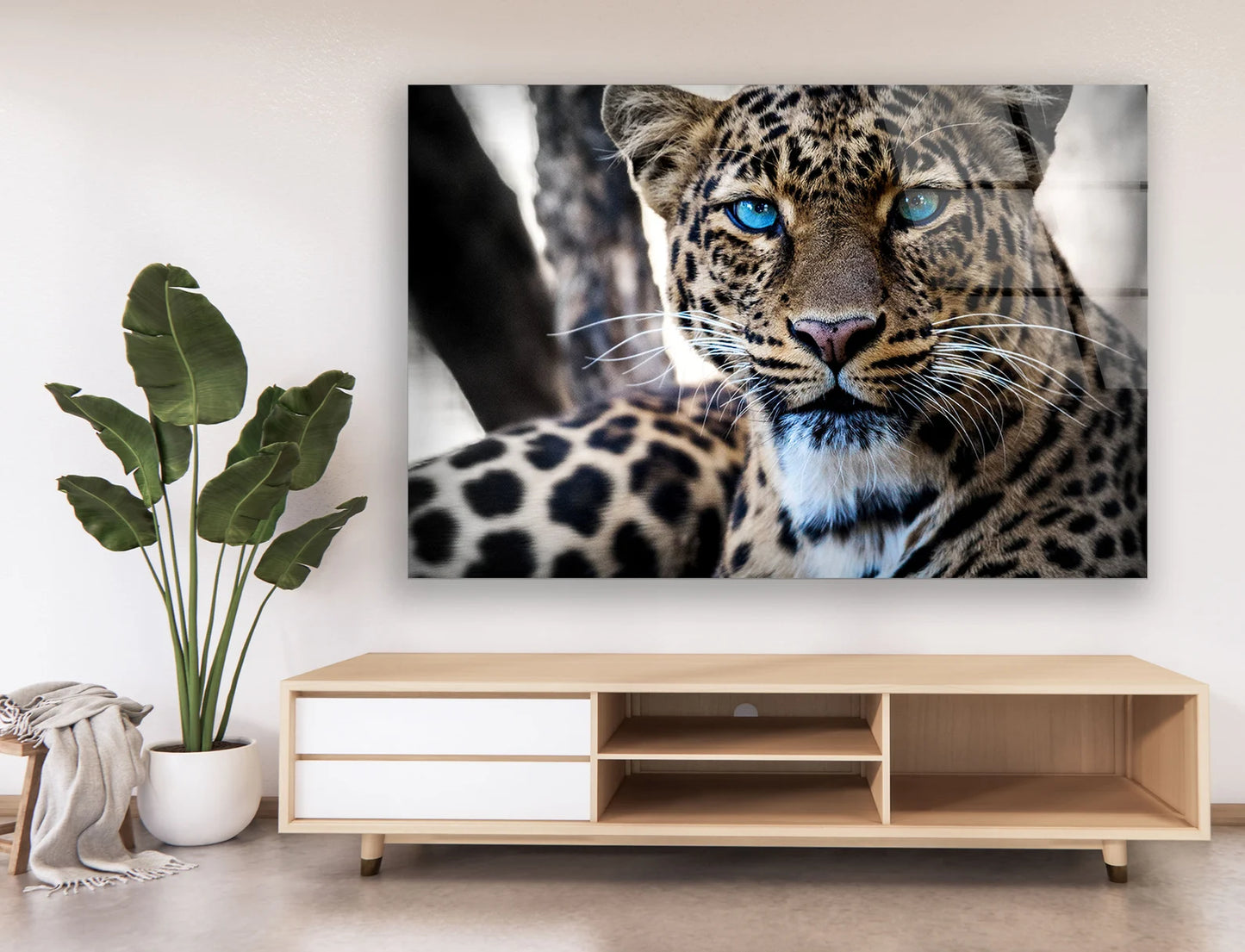 Leopard blaue Augen