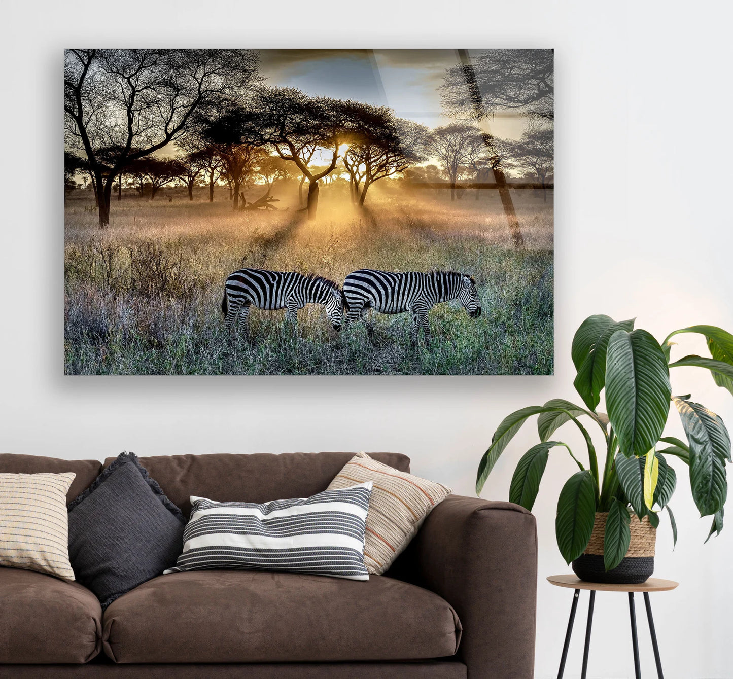Zebra Safari