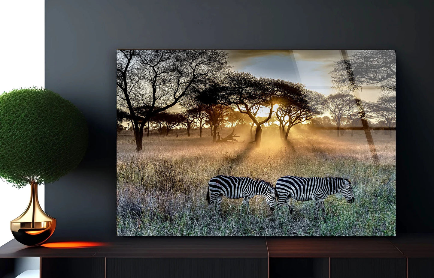 Zebra Safari