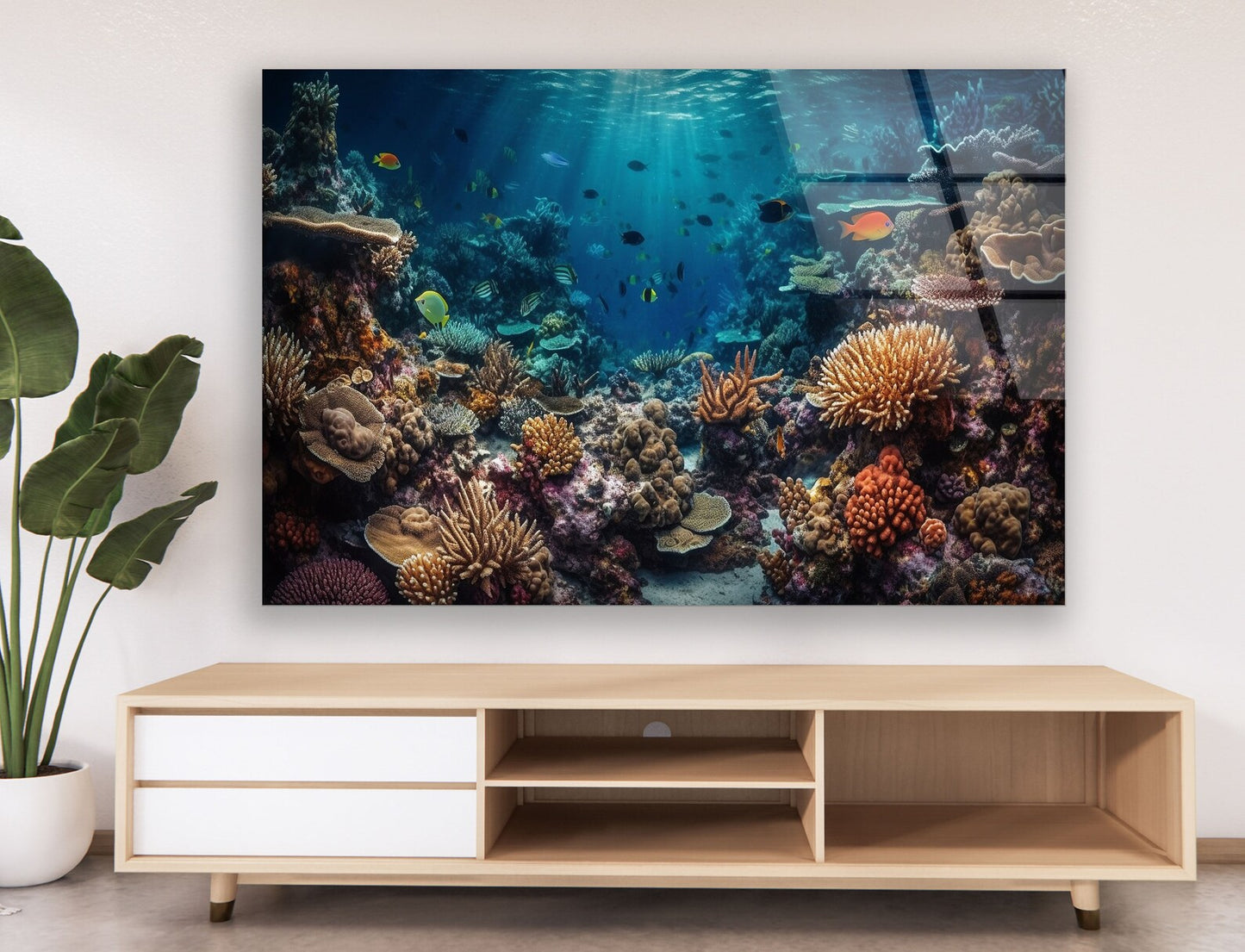 Fische im Riff