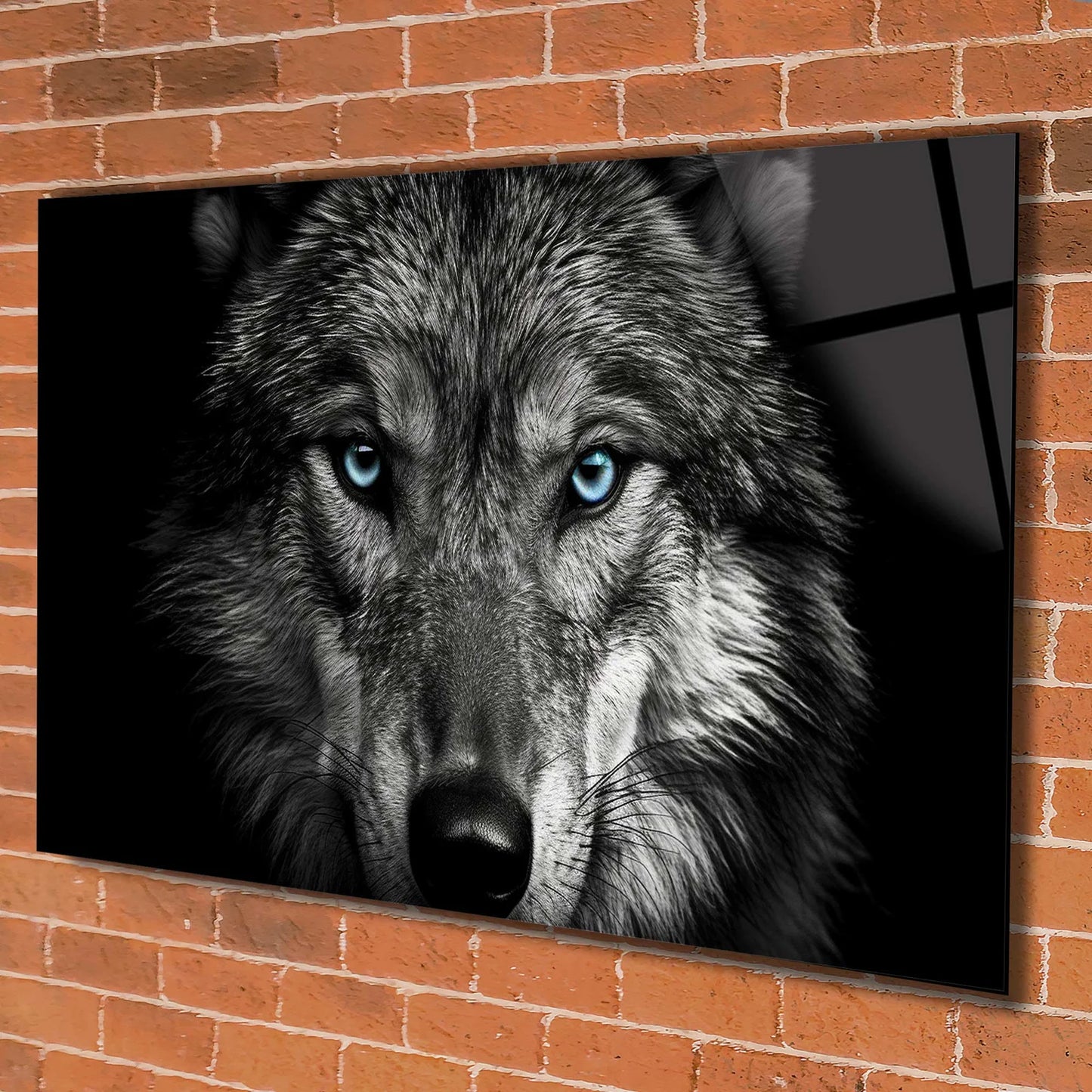 Wolf mit blauen Augen