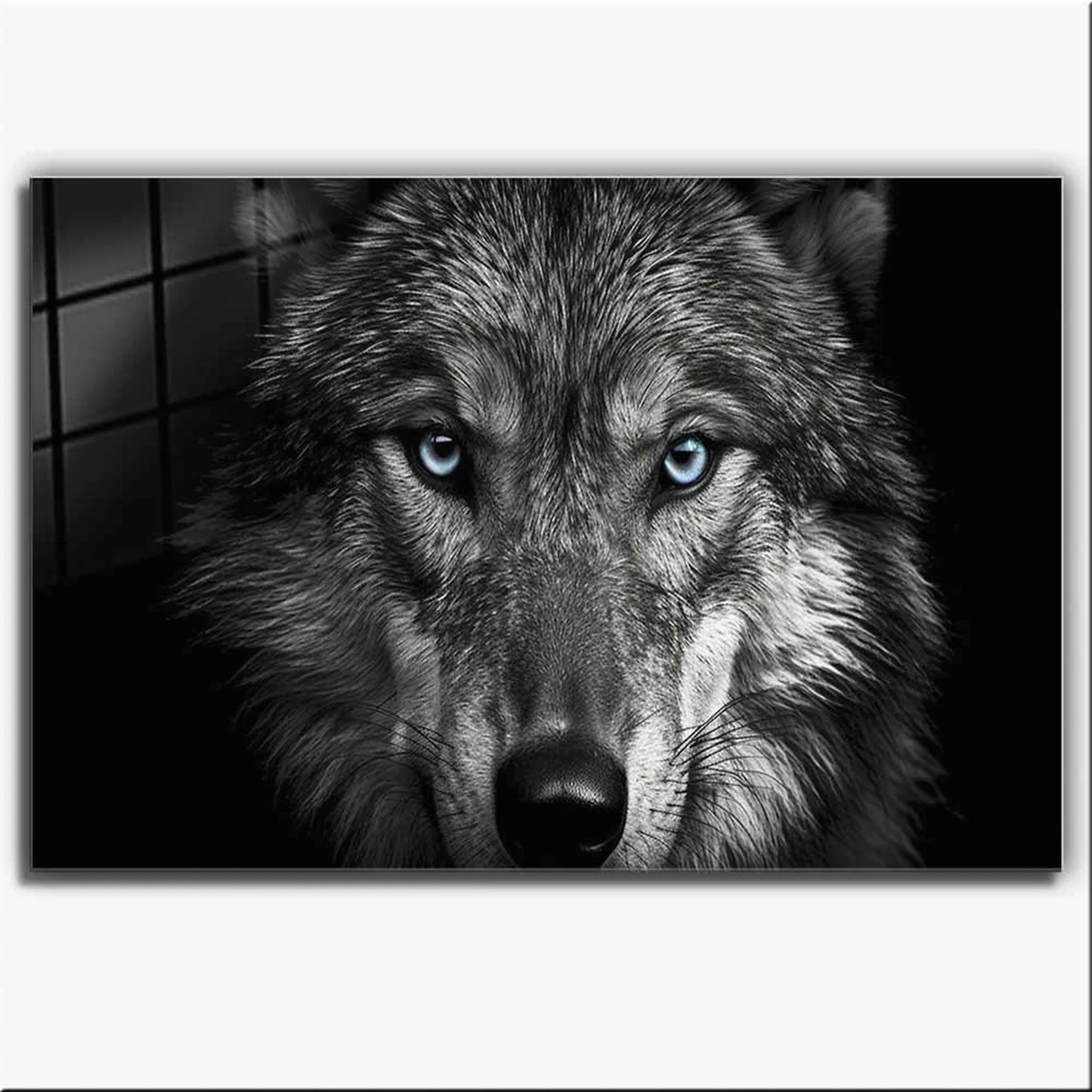 Wolf mit blauen Augen