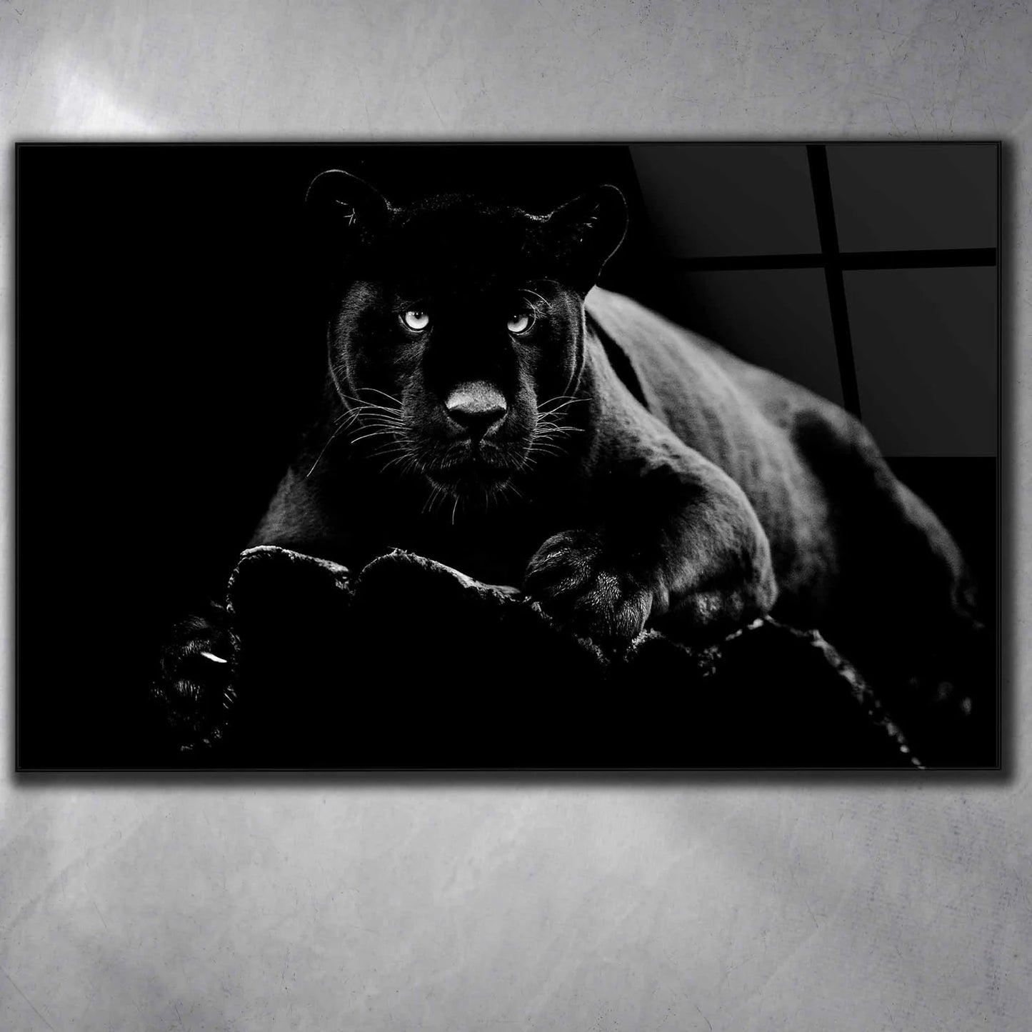 Panther Schwarz