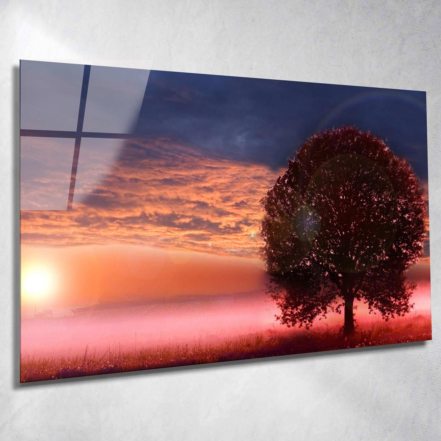 Baum im Sonnenaufgang