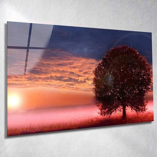 Baum im Sonnenaufgang