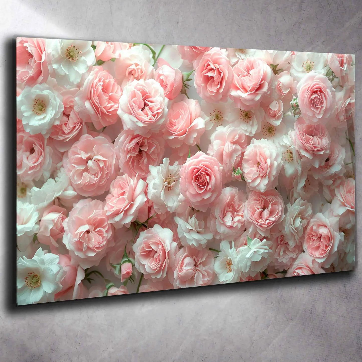 Rosa und Weisse Rosen