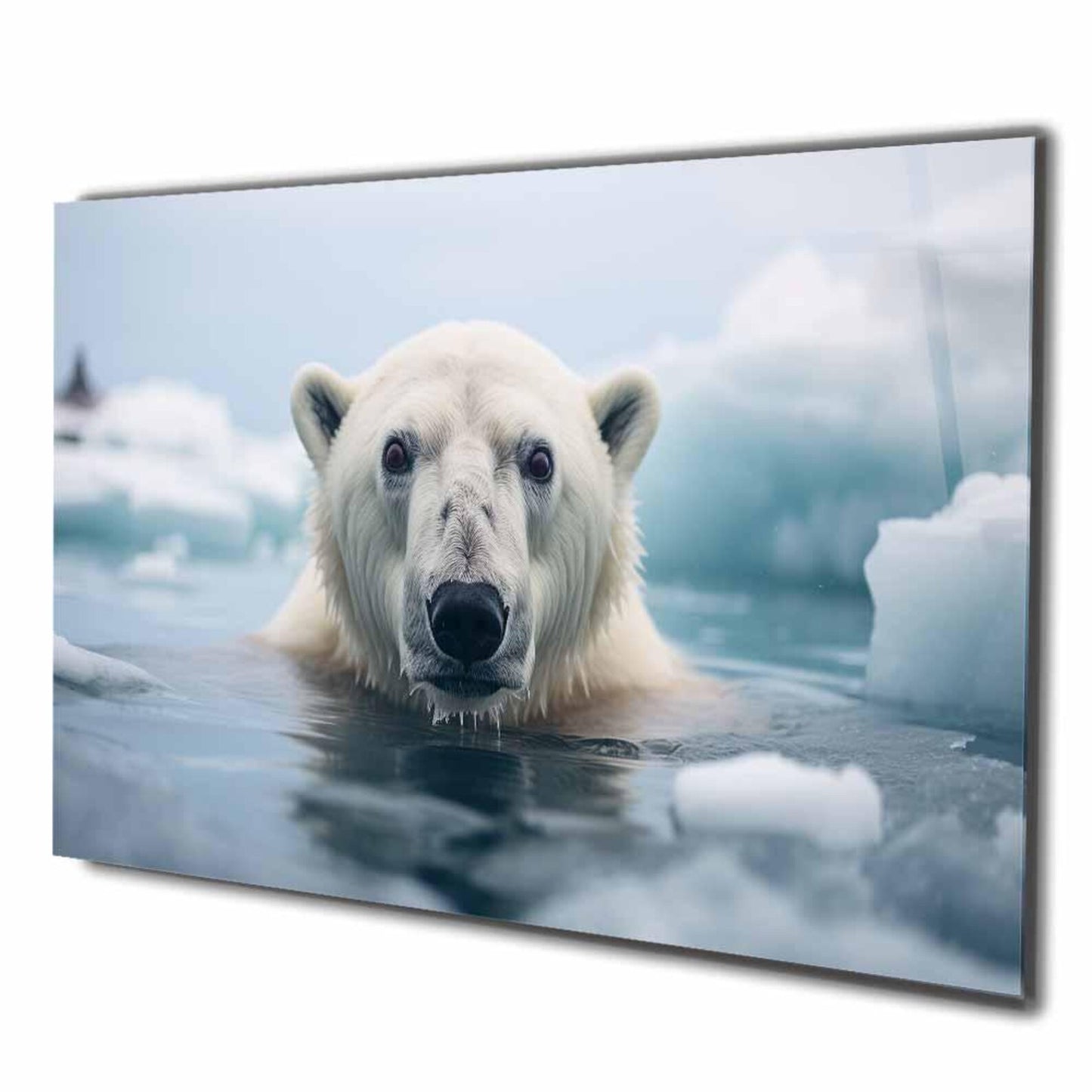 Eisbär
