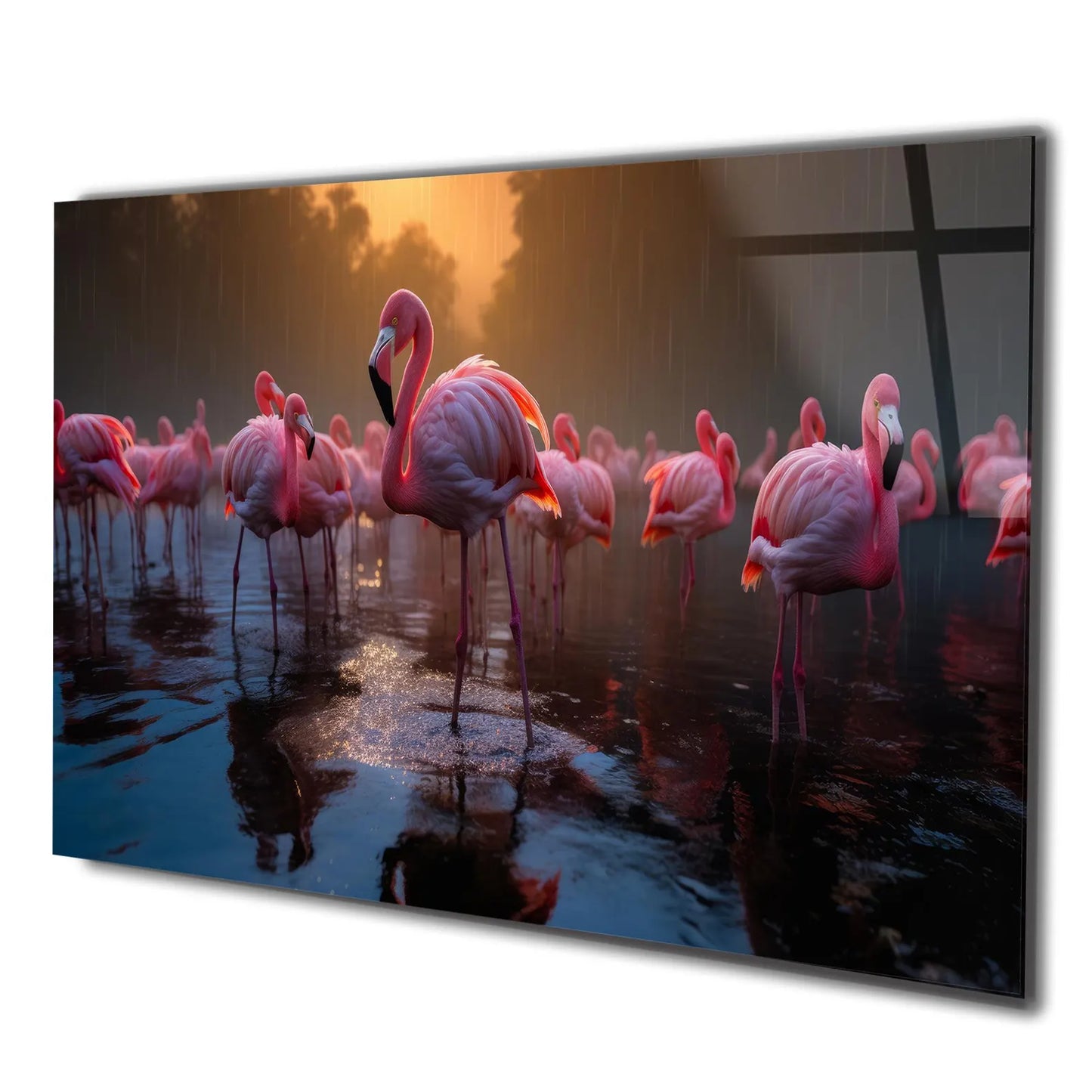 Flamingo 2