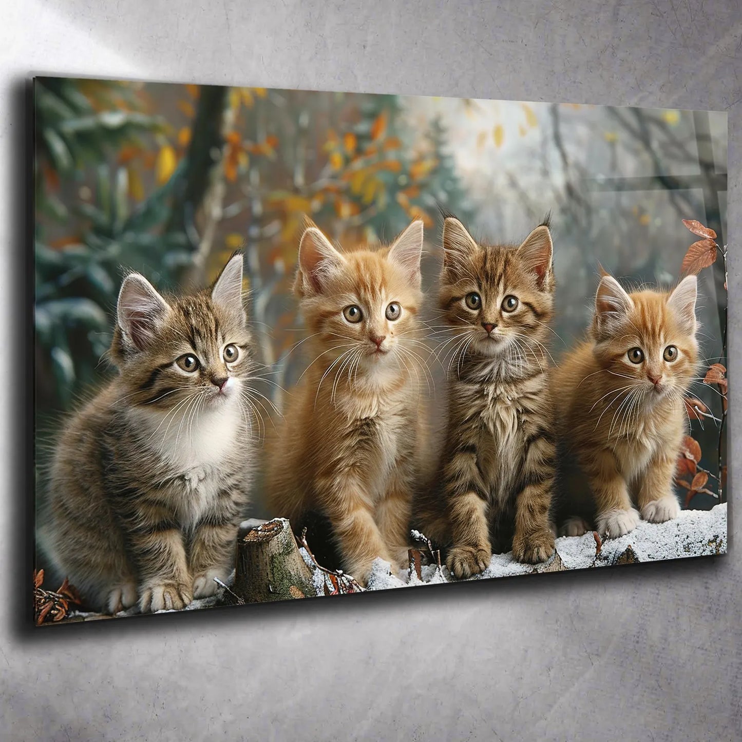 Süsse Katzen