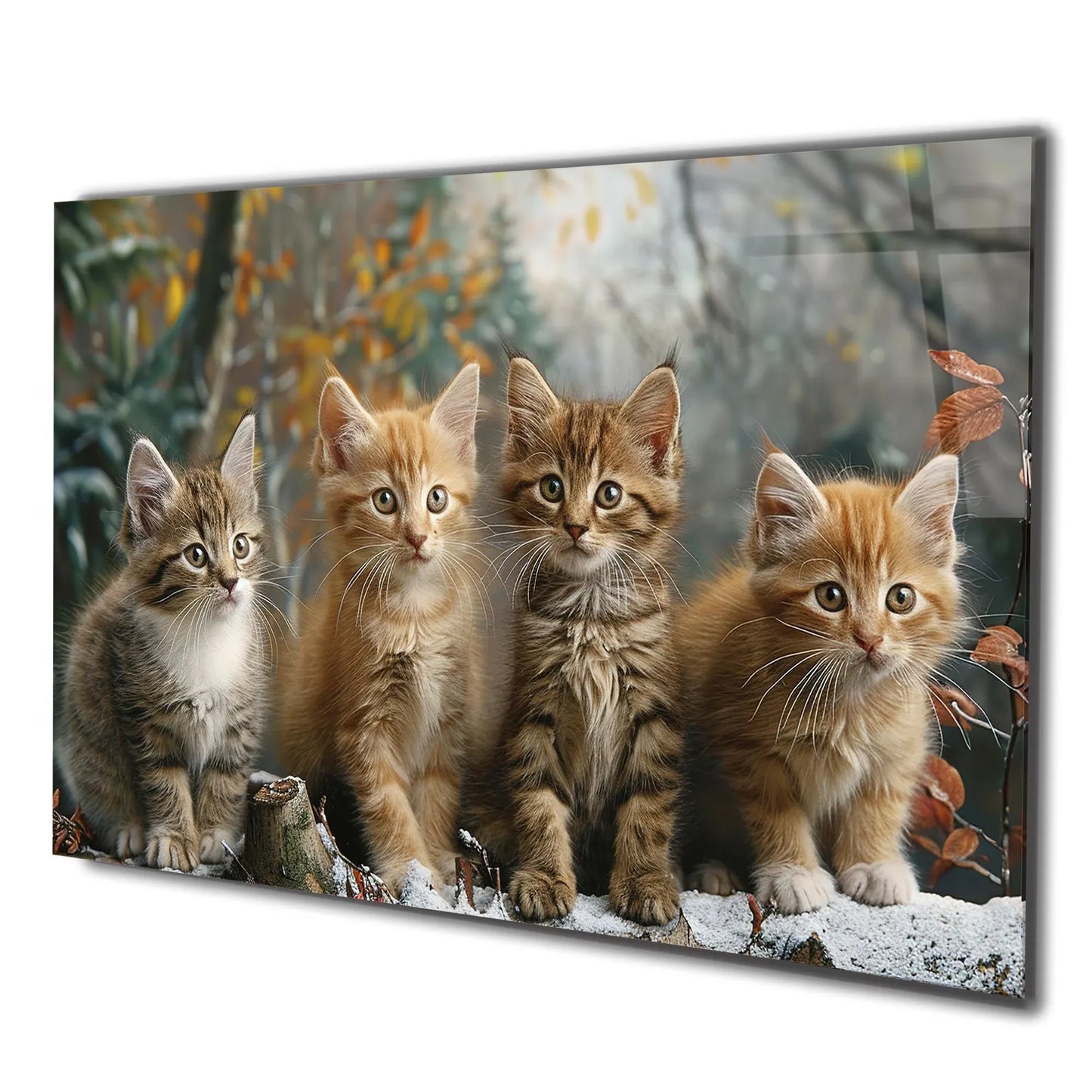 Süsse Katzen