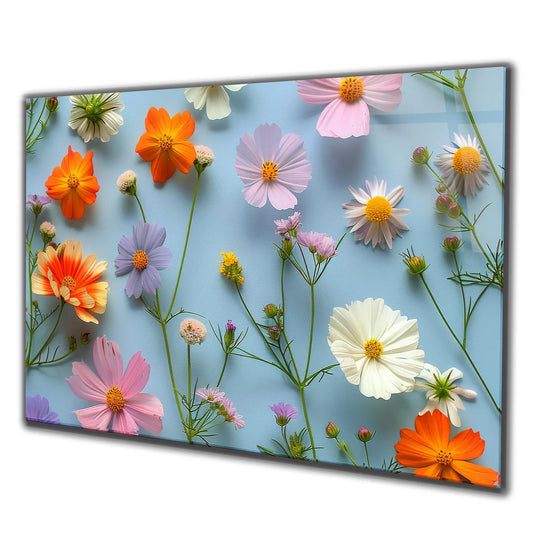Bunte Wiesenblumen
