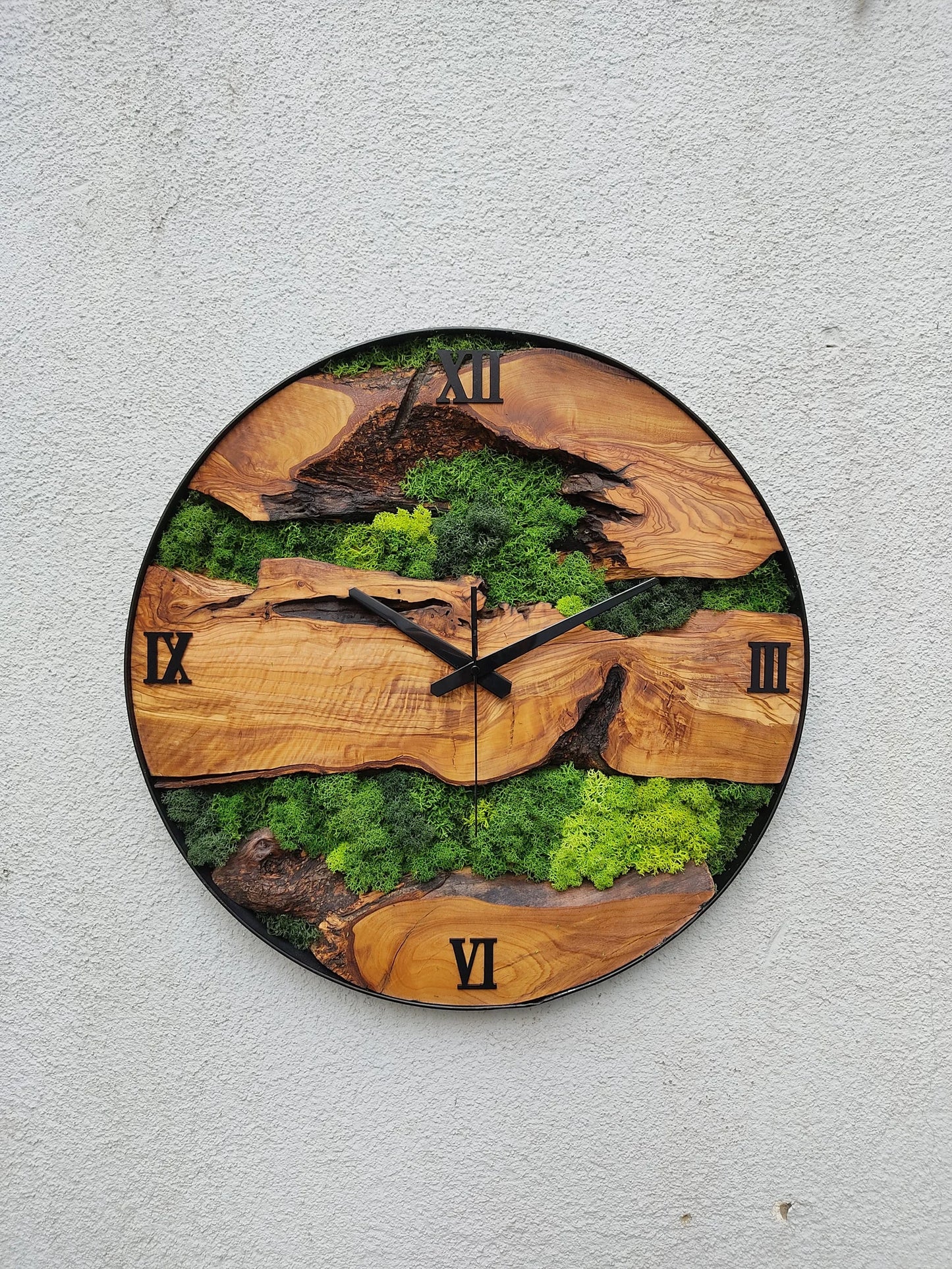 Orologio Muschio in legno d'ulivo