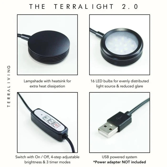 Muschio cuore della foresta ZERO