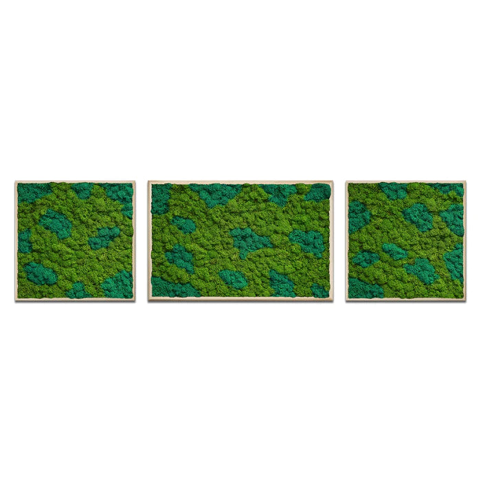 Pannello multiplo Moss Art Trio