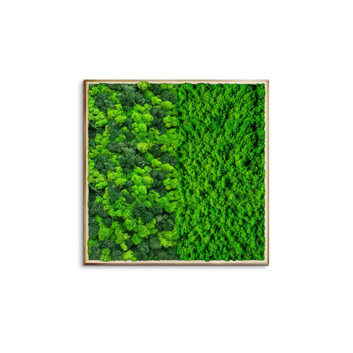 Half Moss Art Quadratischer Rahmen