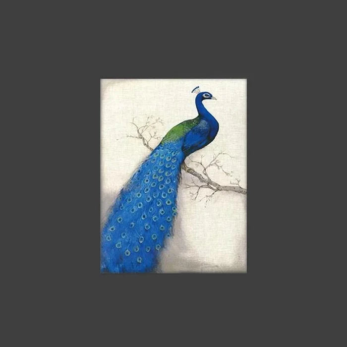 Pavo Pfau Stretched Canvas