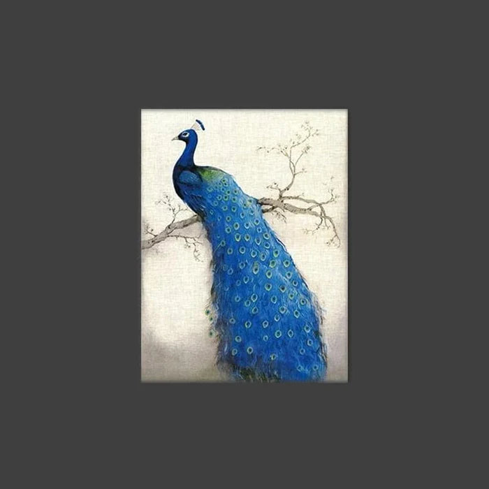 Pavo Pfau Stretched Canvas