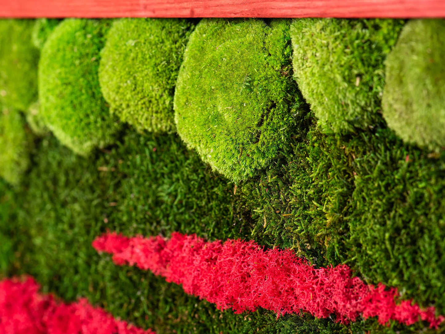 Green and Red Moss Art by Luxana