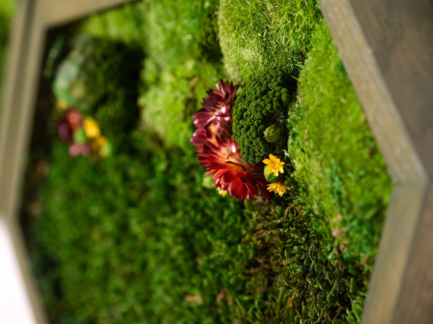 7-piece moss flowers Art by Luxana