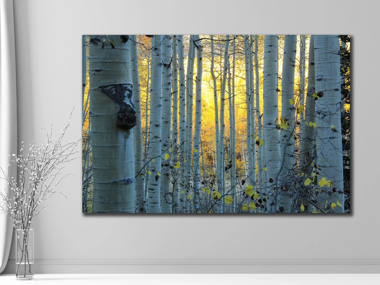 The Birch Forest Canvas