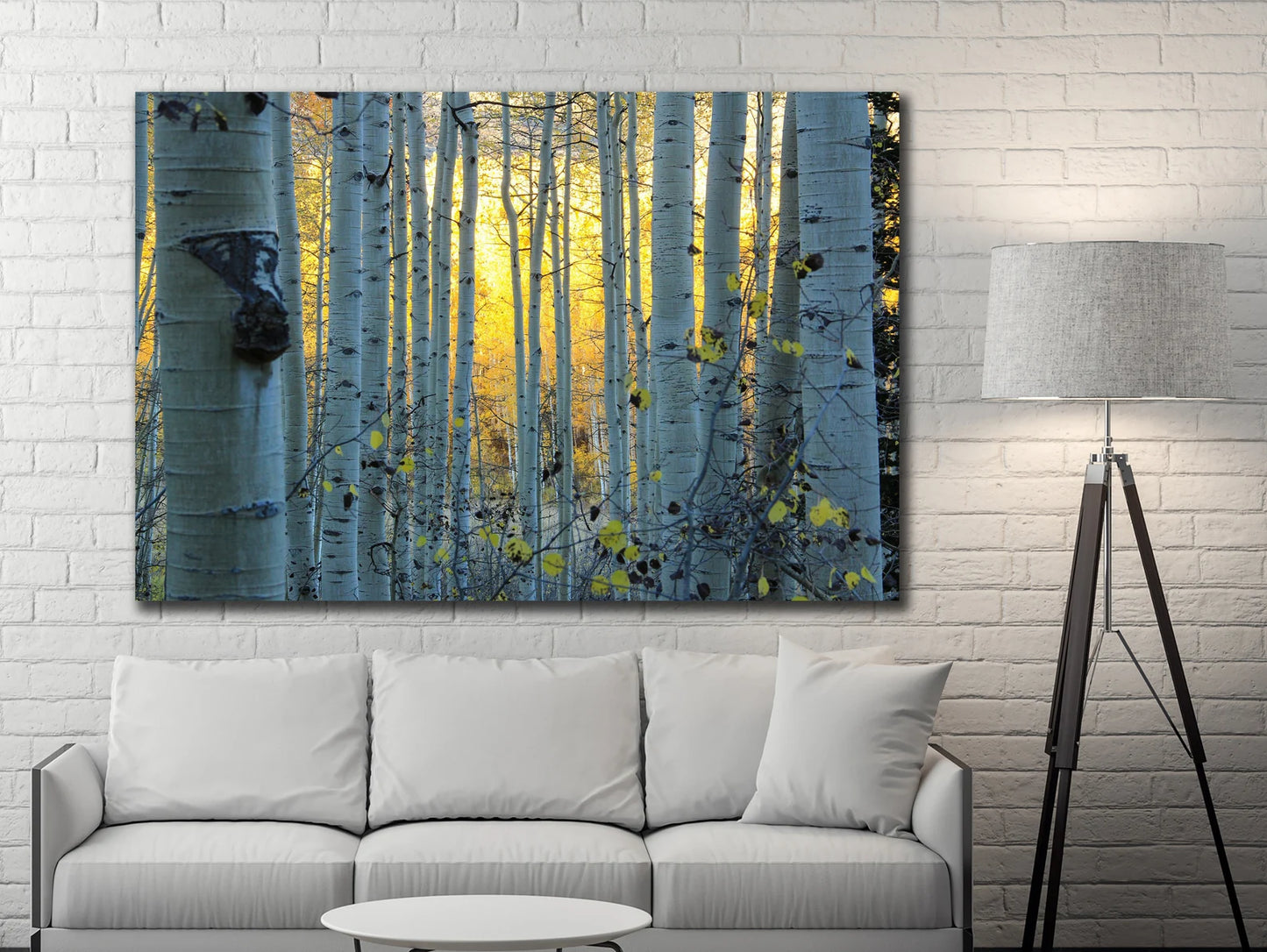 The Birch Forest Canvas