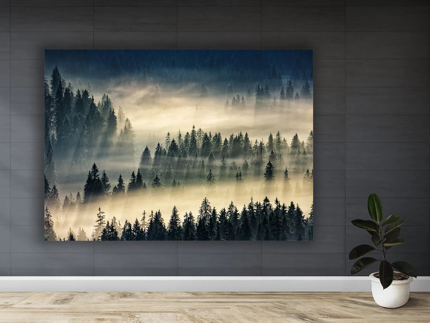 Forest with fog canvas art with frame